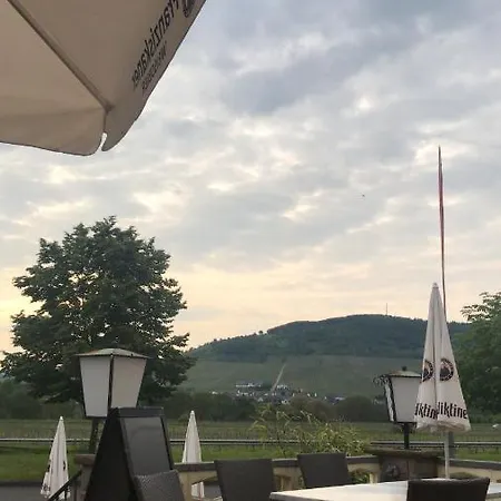 Irena's Breidbach