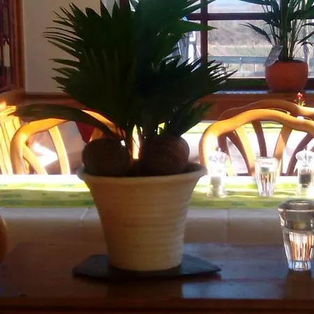 Irena's Breidbach Hotel 3*