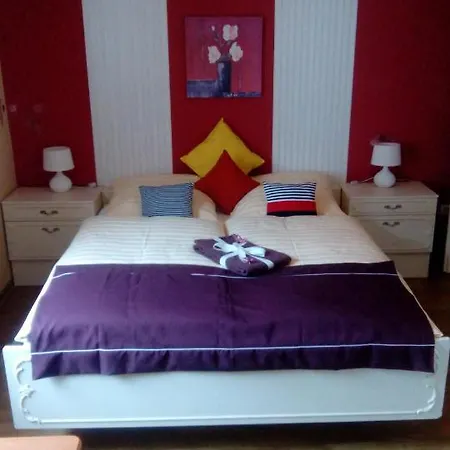Отель Irena's Breidbach 3*